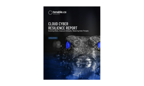 Cloud Cyber ​​Resilience Report