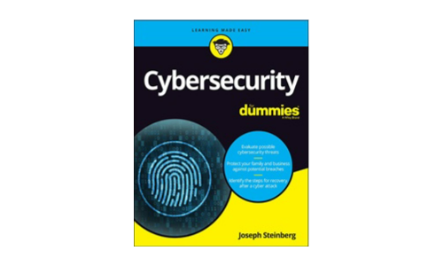 Cybersikkerhed for dummies