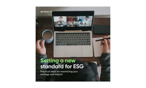 Indstilling af en ny standard for ESG: Trin for at maksimere strategi og påvirkning