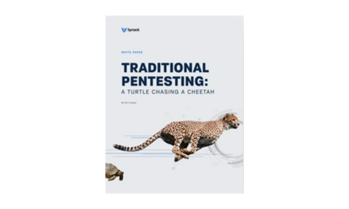 Traditionel pentesting: En skildpadde, der jagter en gepard